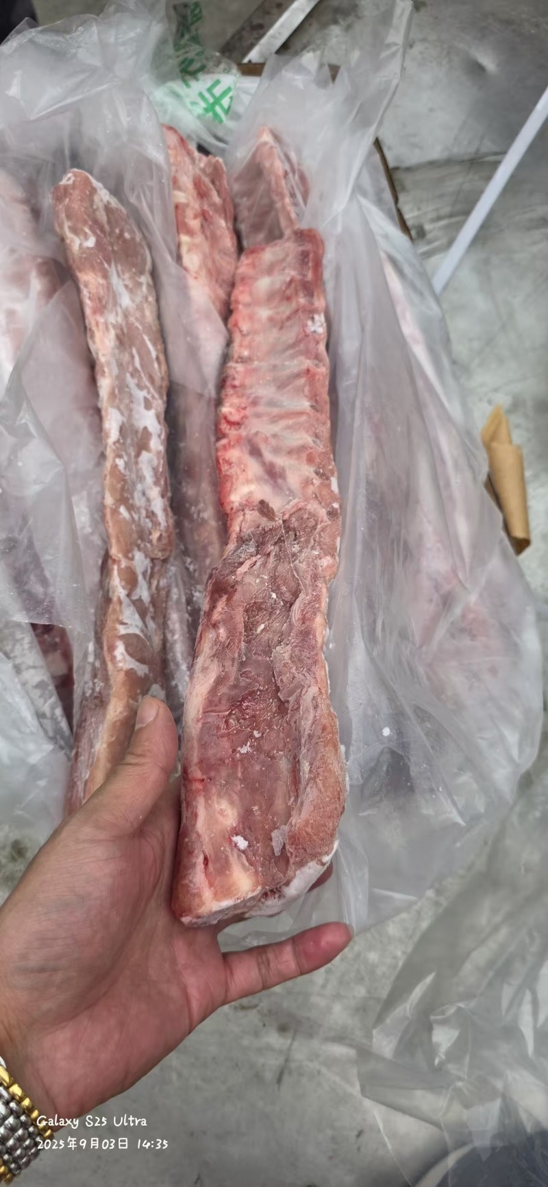 新到肥猪多肉龙骨，颜色鲜艳，工厂直销，量大从优