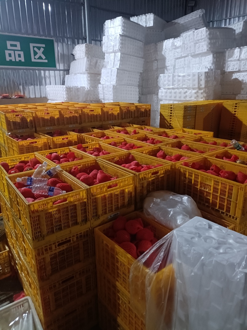 突尼斯软籽石榴，产地直发，一件代发，市场货，电商货