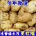 《内蒙土豆》黄心土豆/产地直发/长期供应/稳定货源