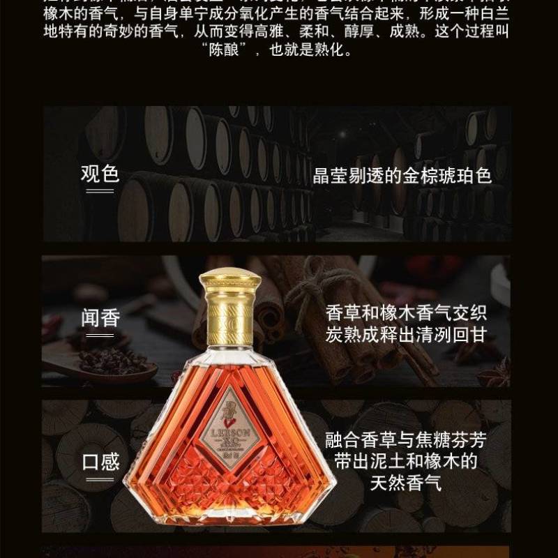 法国X