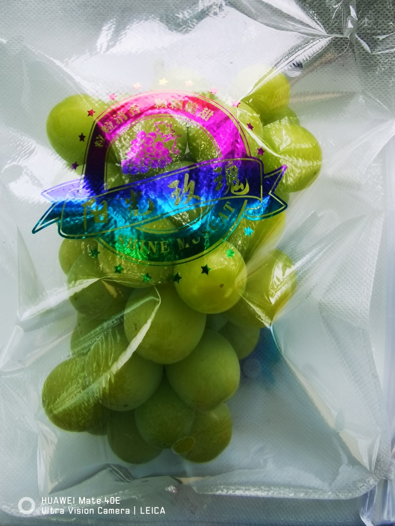 预售太白香印葡萄