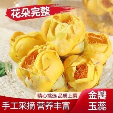 金茶花特级正品广西金茶花十万野生特级原生防普花批发零售