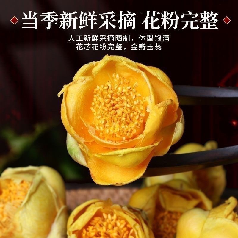 金茶花特级正品广西金茶花十万野生特级原生防普花批发零售