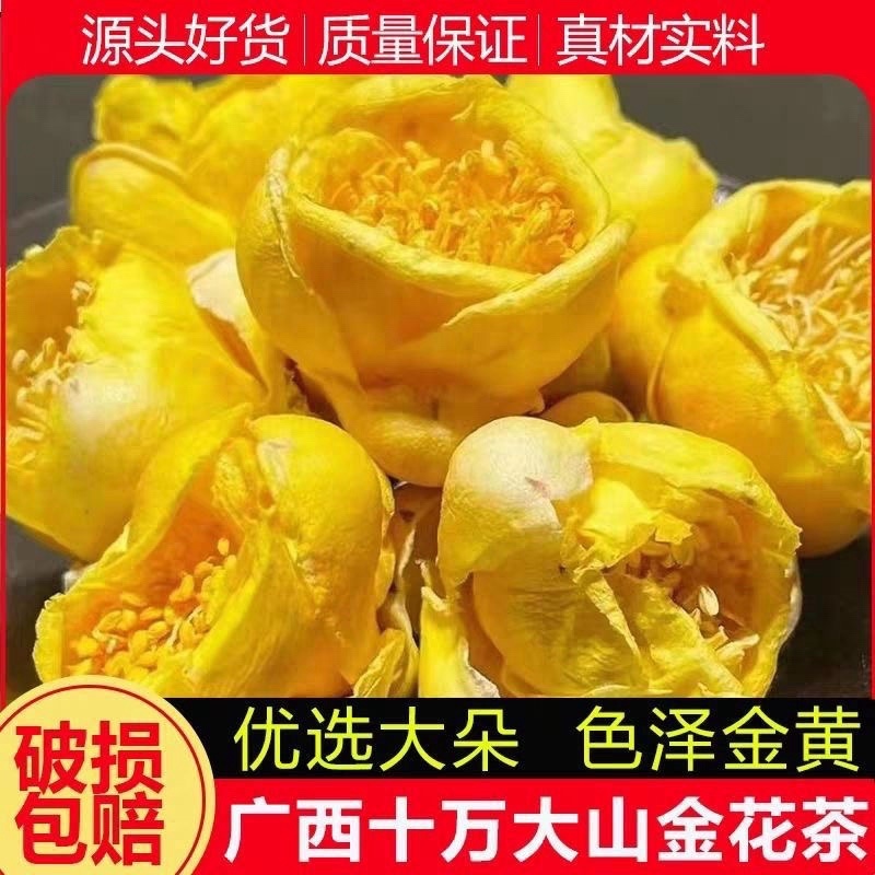金茶花特级正品广西金茶花十万野生特级原生防普花批发零售
