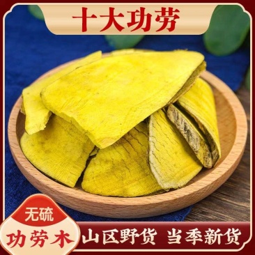 野生十大功劳/功劳叶/功劳片/产品齐全/常年供应批发