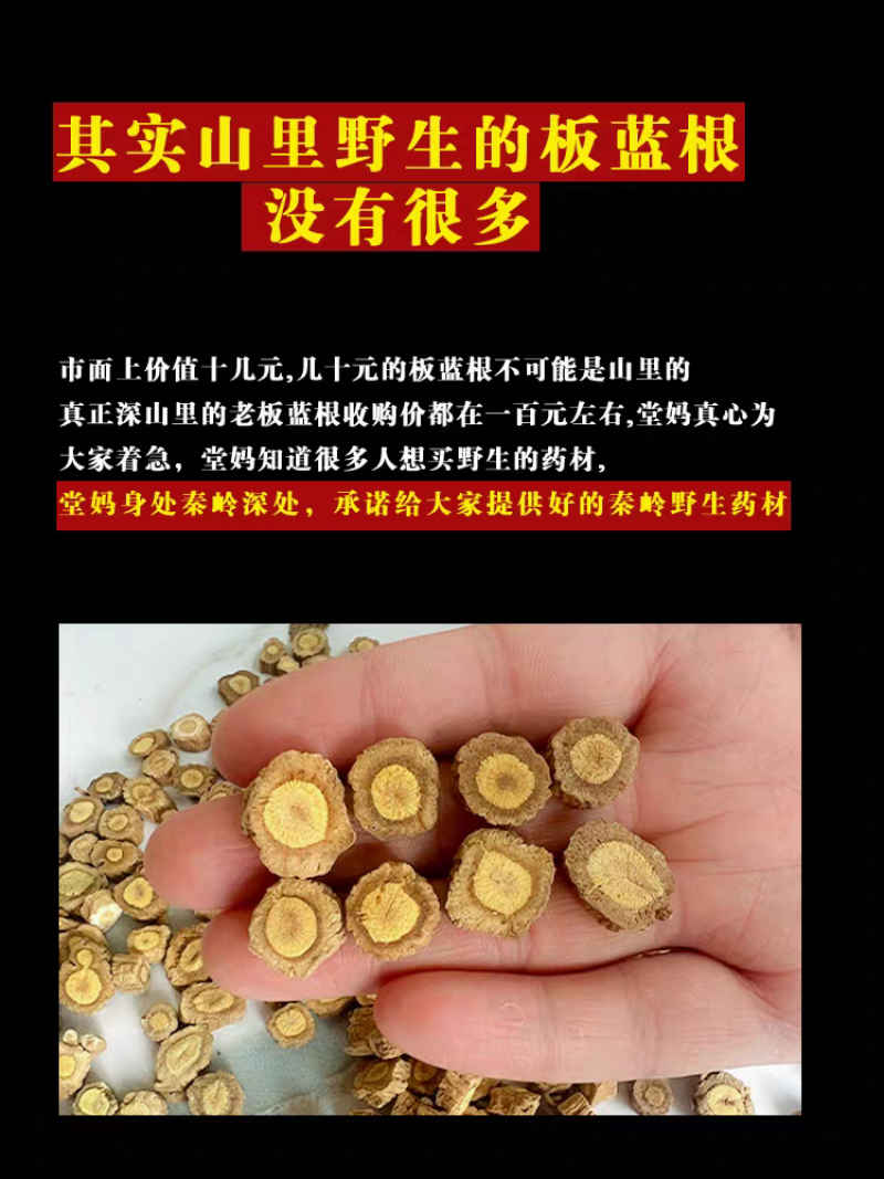 《野生板蓝根》南板蓝根/产地货源/自家加工/常年供应