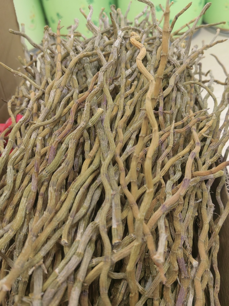 铁皮石斛粗条大量供货价格优惠调整来电
