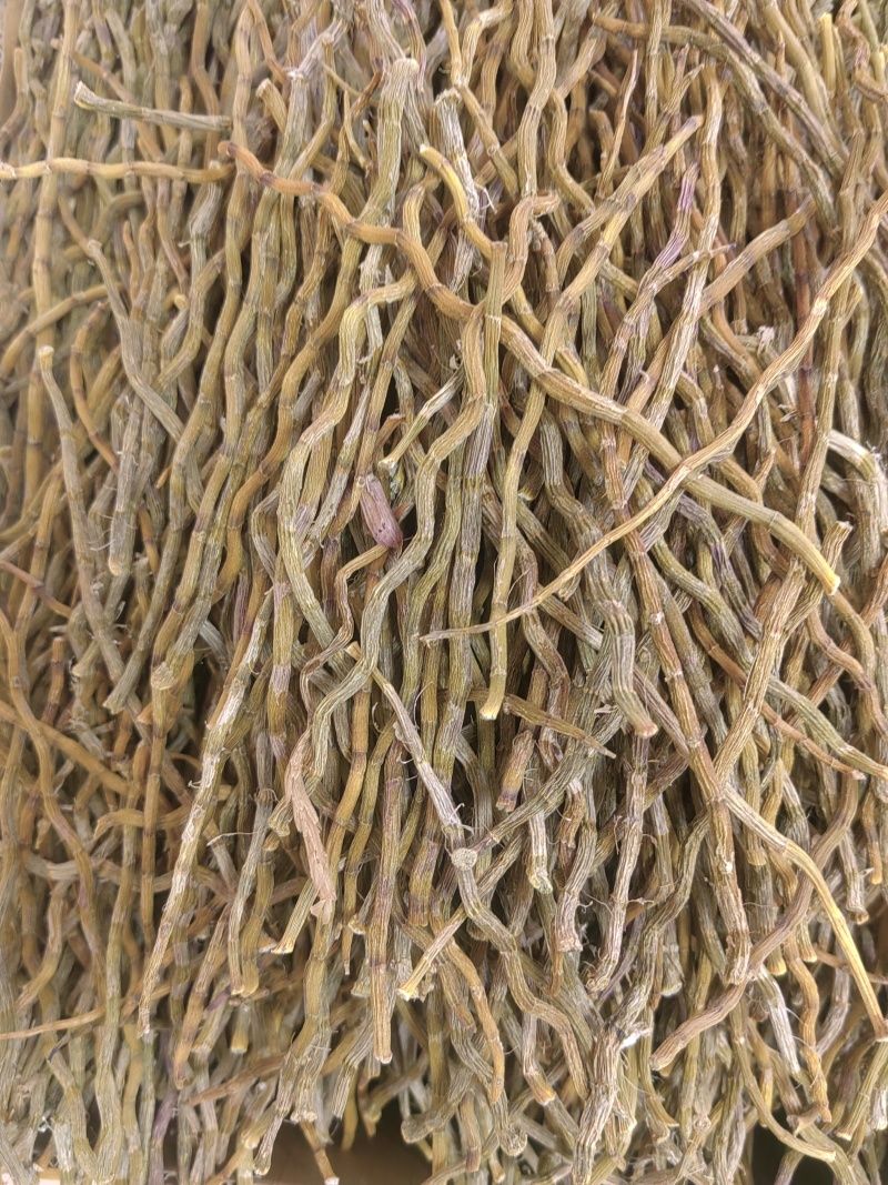 铁皮石斛粗条大量供货价格优惠调整来电