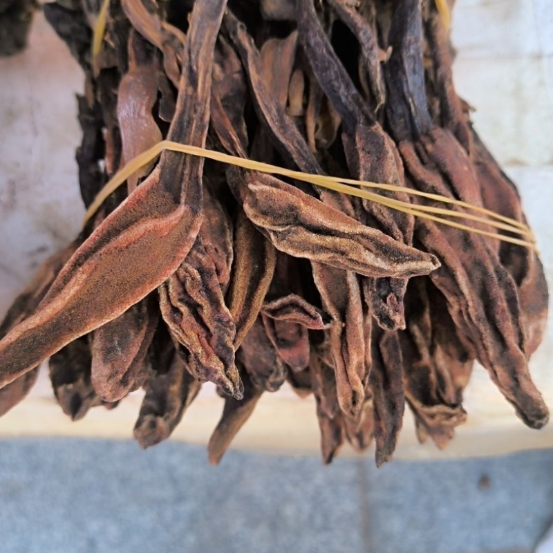 回春草云南起阳草泡茶泡水纯野生批发零售正品