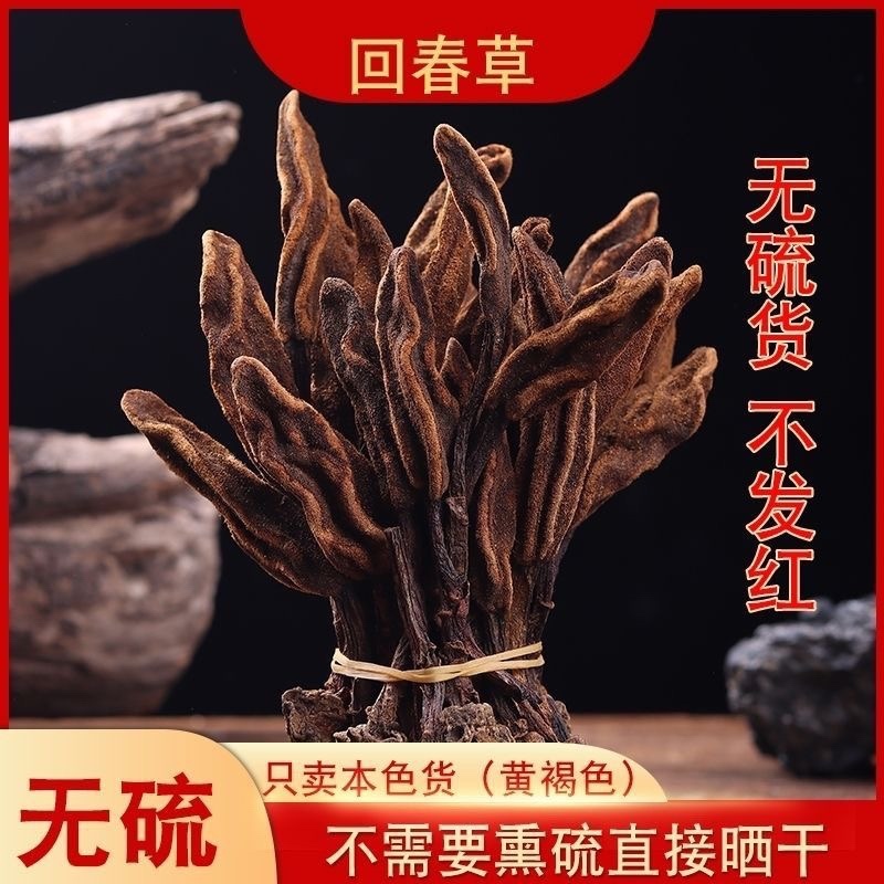 回春草云南起阳草泡茶泡水纯野生批发零售正品