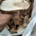 太行山崖柏木料毛料陈化手串手把件崖柏原木随机发货