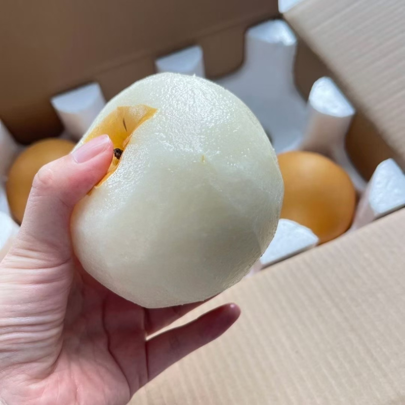 套袋秋月梨，基地直发，量大优惠，可视频看货，欢迎合作