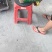 广西钦密9号百香果