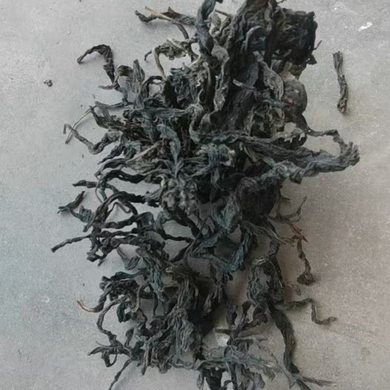 河南芝麻叶精品芝麻叶大量供应全国发货欢迎来电采购