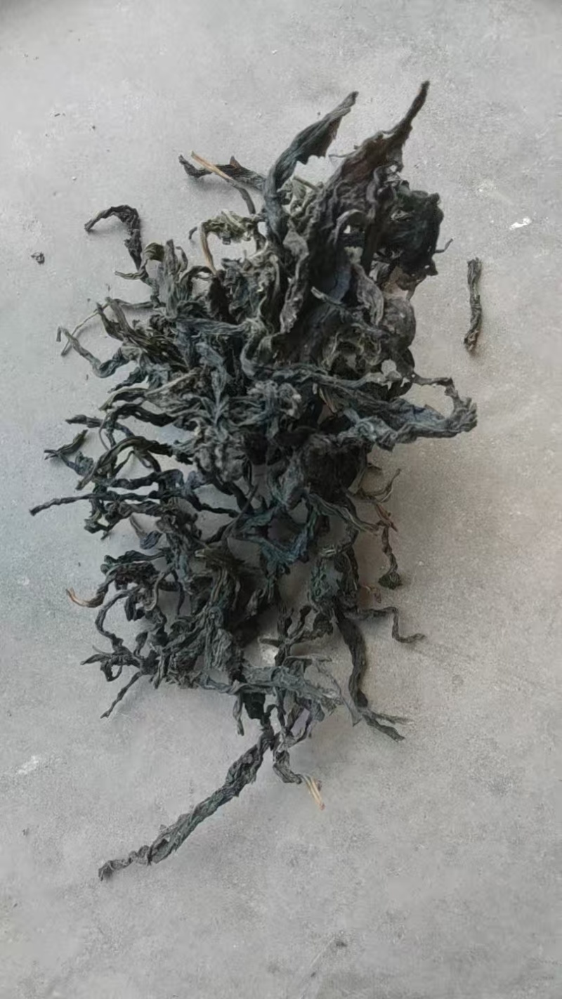 河南芝麻叶精品芝麻叶大量供应全国发货欢迎来电采购