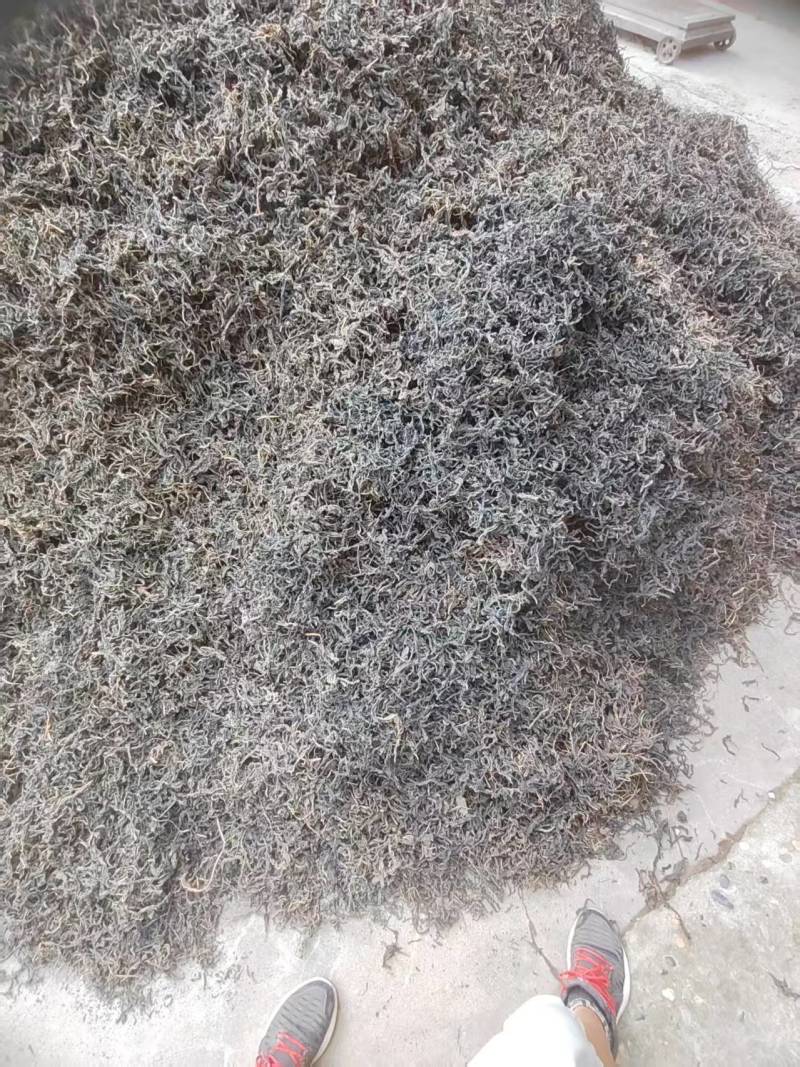 河南芝麻叶精品芝麻叶大量供应全国发货欢迎来电采购