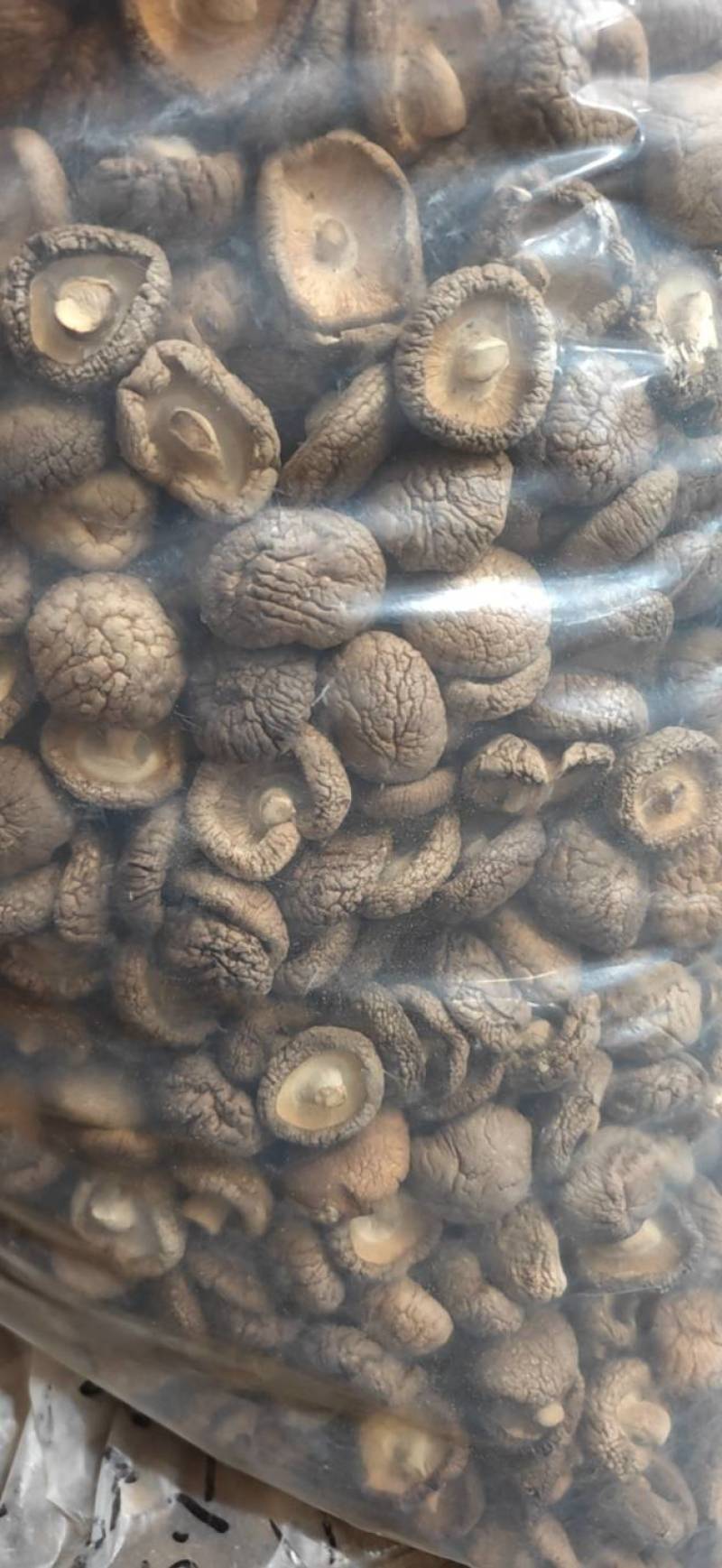 精选干香菇小香菇产地直供质量保证一手货源对接商超餐饮