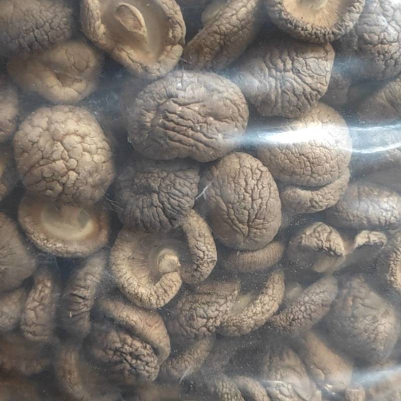 精选干香菇小香菇产地直供质量保证一手货源对接商超餐饮