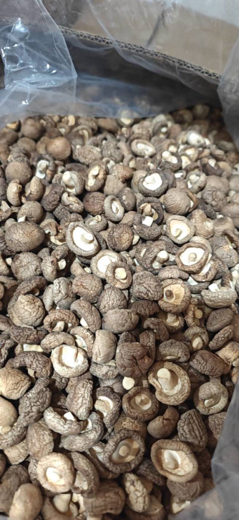 精选干香菇小香菇产地直供质量保证一手货源对接商超餐饮