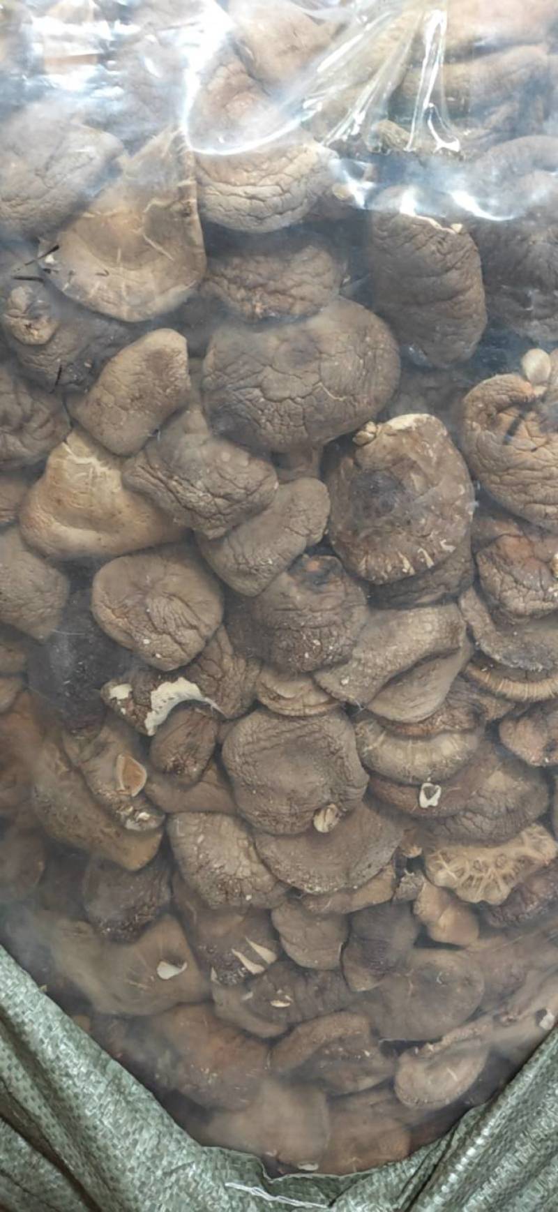 精选干香菇小香菇产地直供质量保证一手货源对接商超餐饮