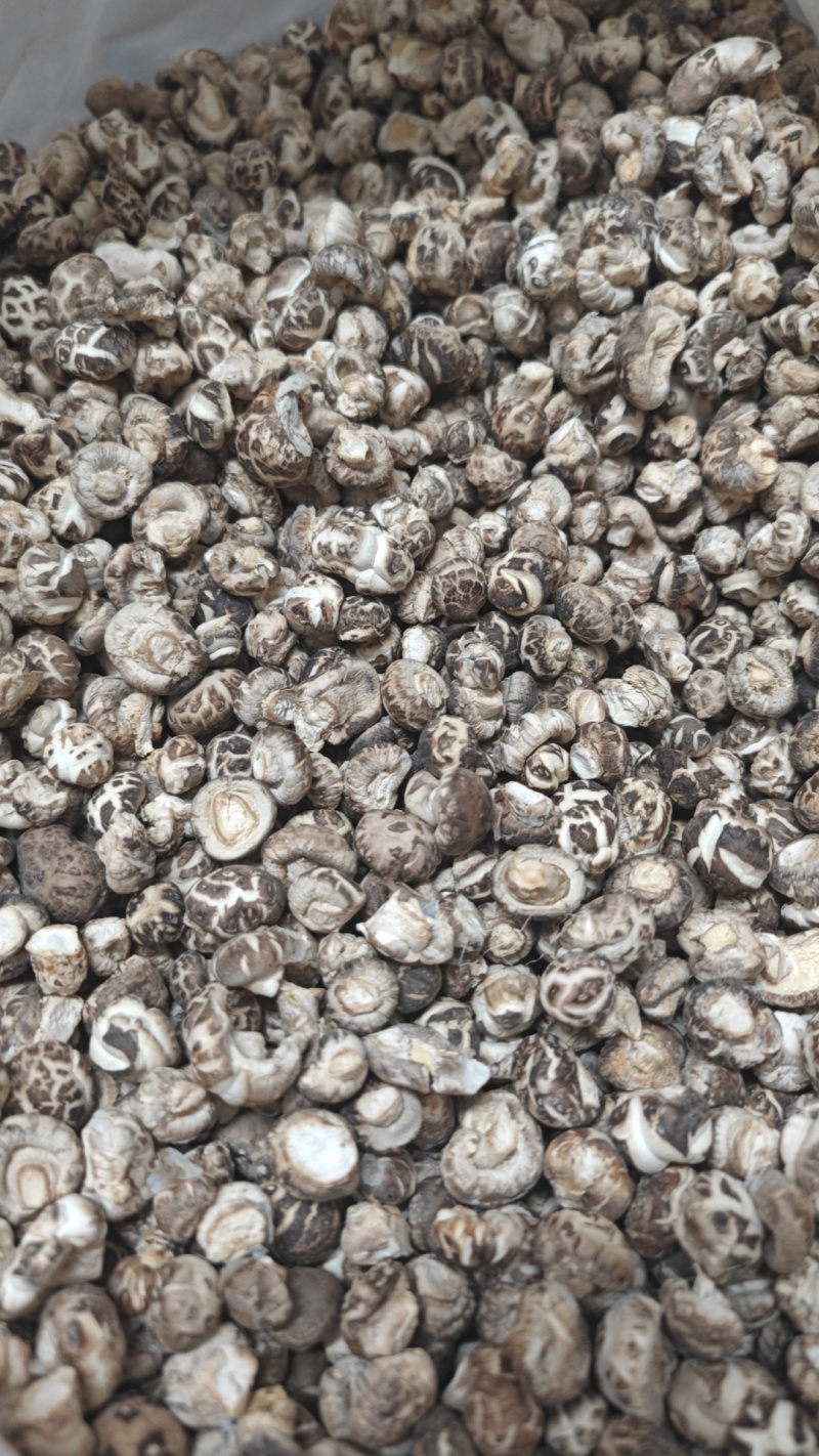 精选干香菇小香菇产地直供质量保证一手货源对接商超餐饮