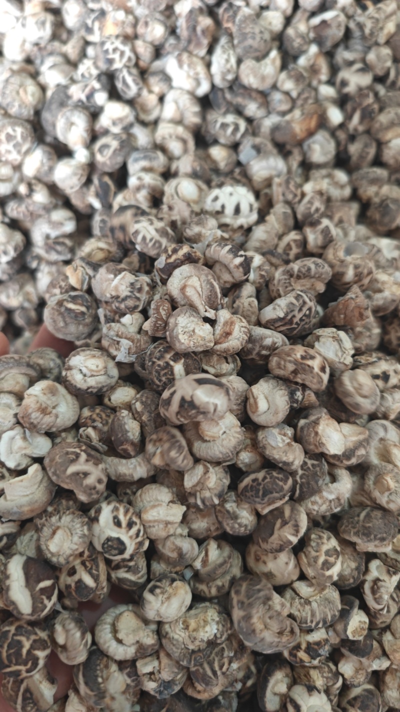 精选干香菇小香菇产地直供质量保证一手货源对接商超餐饮