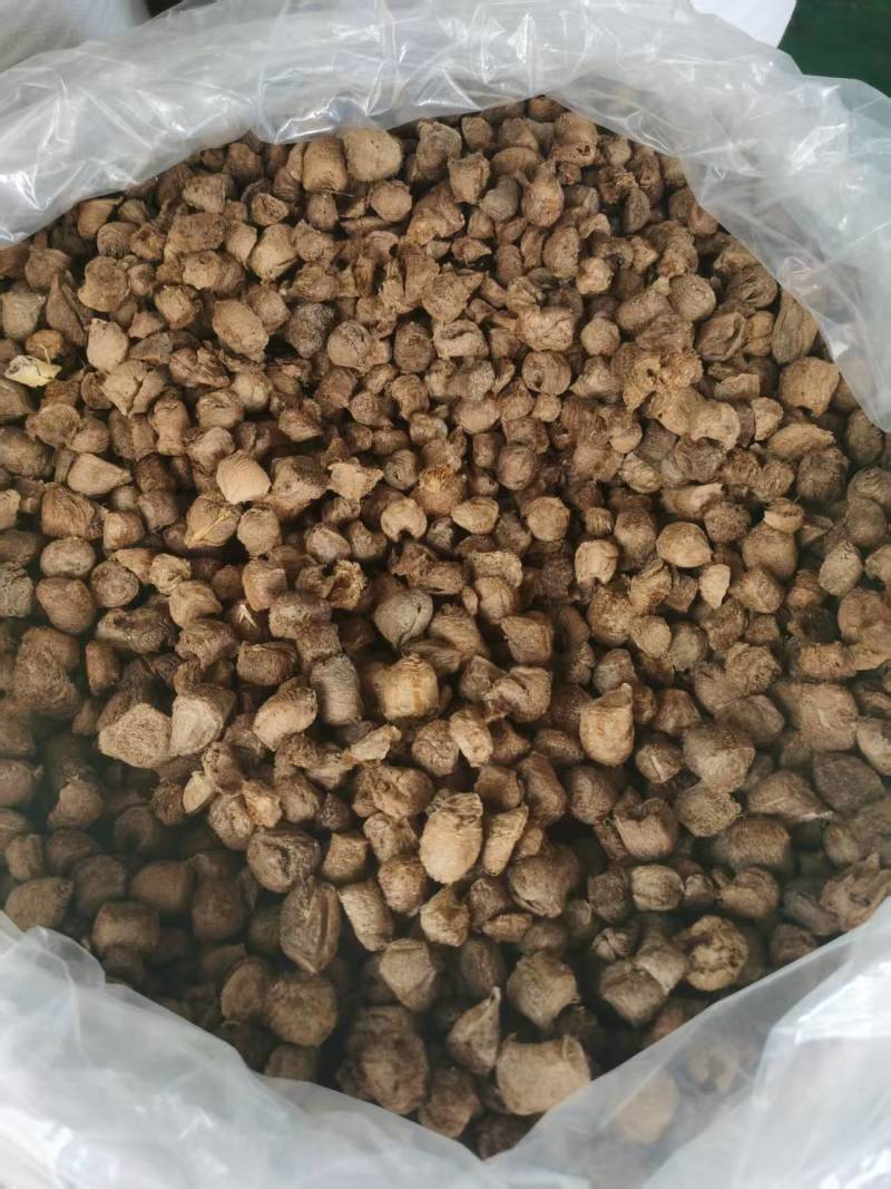 桑螵蛸中药材熟桑螵蛸中药材原料批发生桑螵蛸各种规格都有