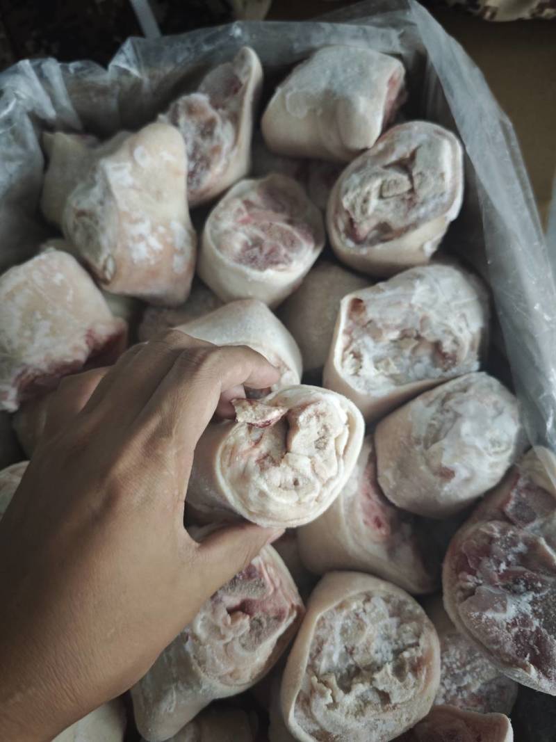 蹄圈脚圈