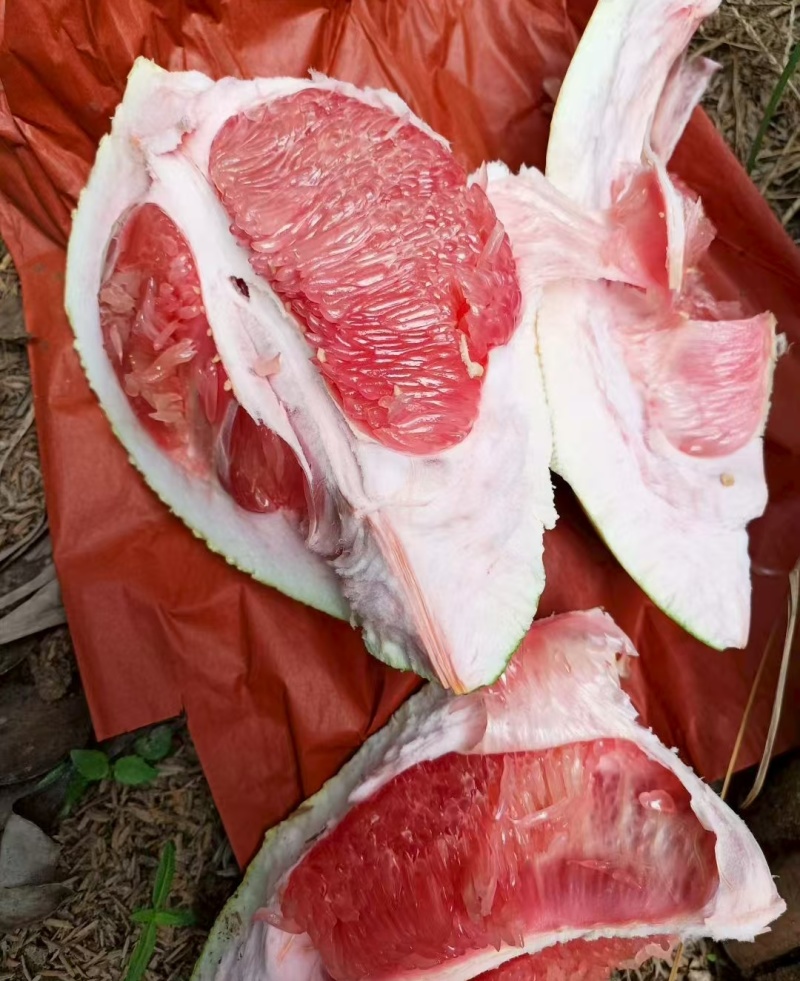 福建漳州柚子琯溪蜜柚红心柚产地直供量大从优实力代发