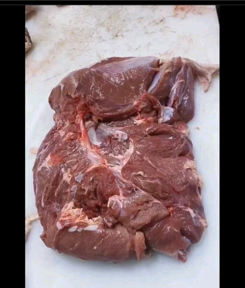 乳牛后腿肉牛腿肉