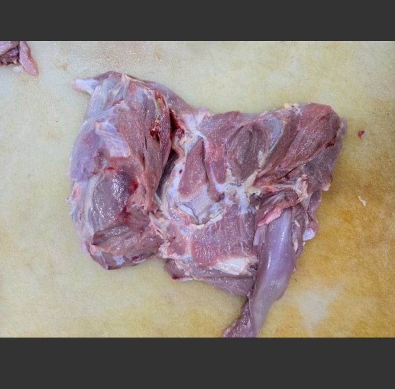 乳牛后腿肉牛腿肉