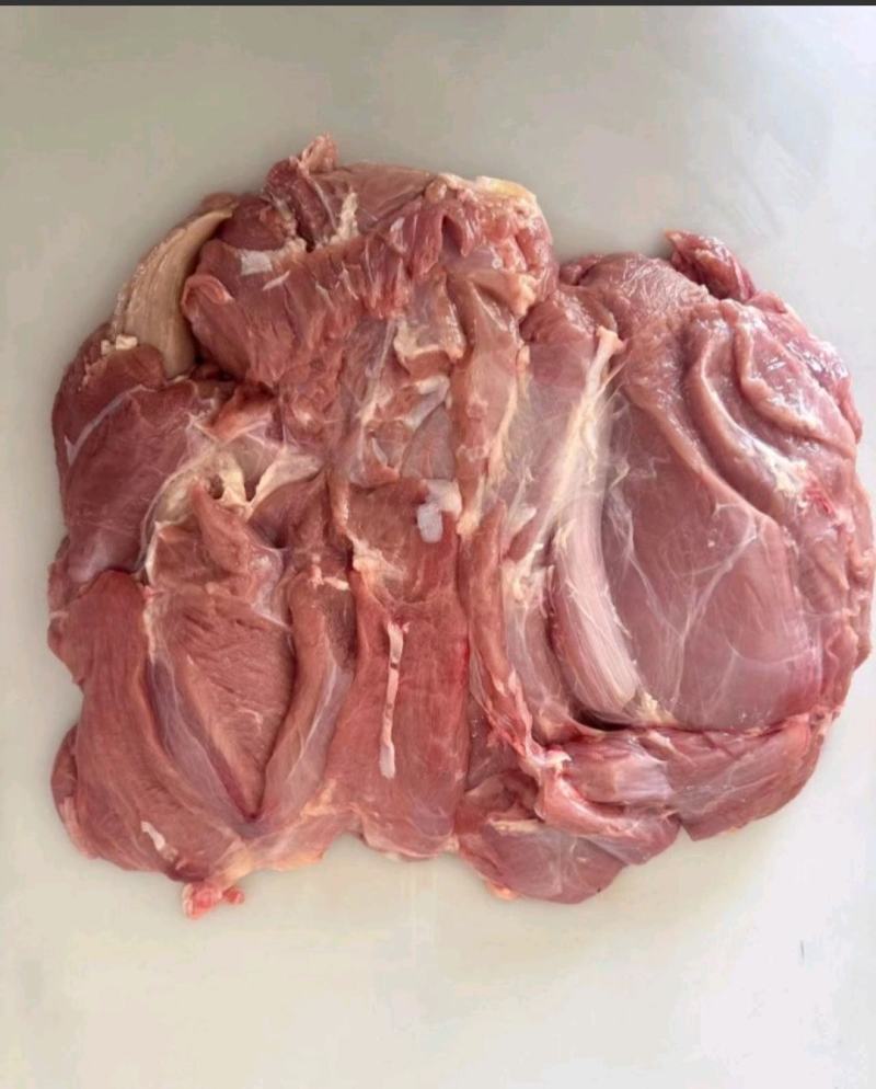 乳牛后腿肉牛腿肉