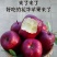 精选花牛苹果2025年鲜苹果运输便利价格实惠欢迎全国老板联系