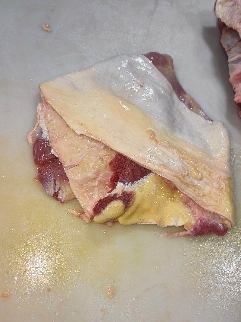 二号筋