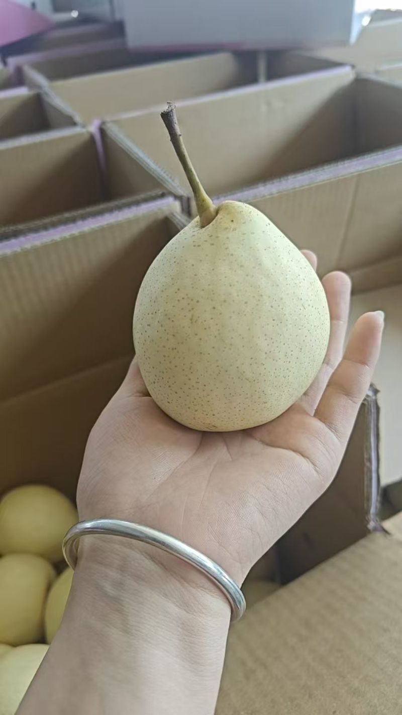 鸭梨产地一手货源，量大优惠，对接全国市场电商平台，