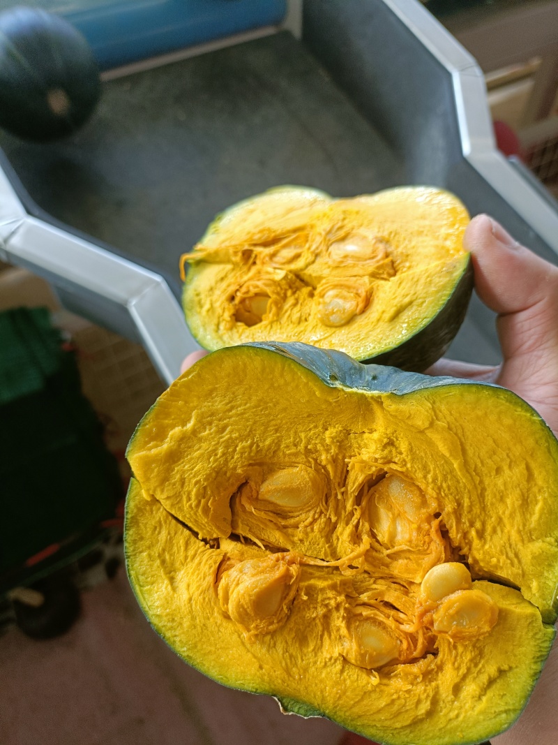 贝贝南瓜粉糯香甜，代购代发，保质保量，诚信经营，订单回购