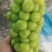 阳光玫瑰