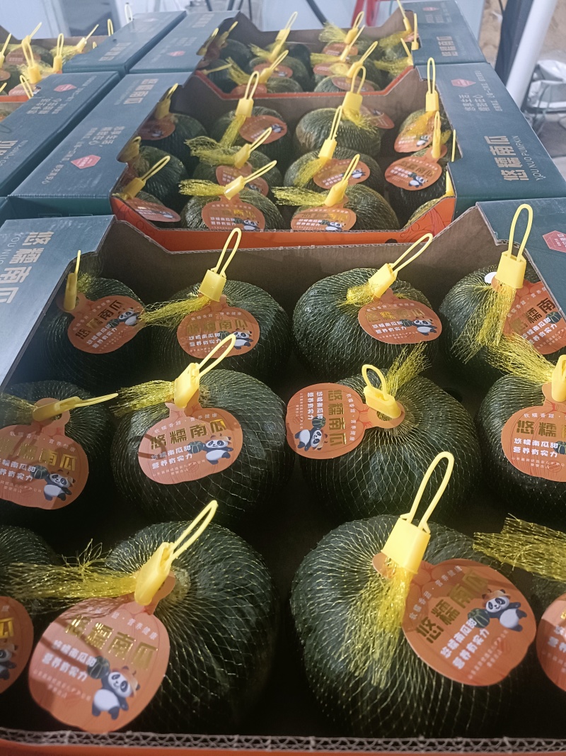 贝贝南瓜粉糯香甜，代购代发，保质保量，诚信经营，订单回购