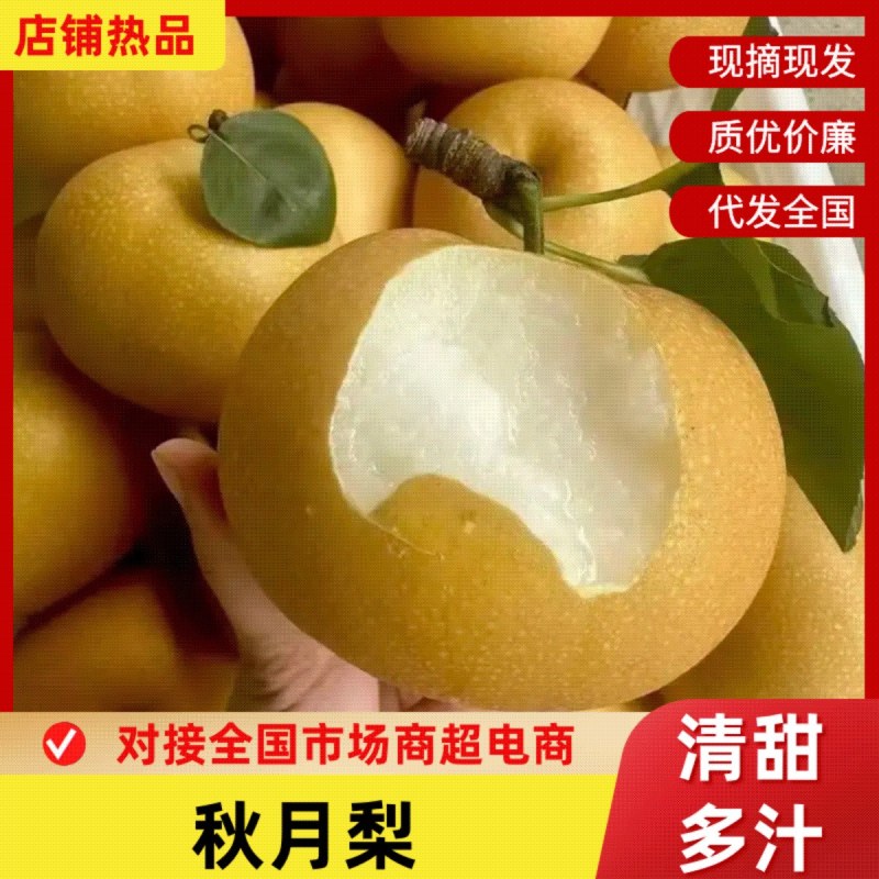 🔥【实力推荐】平顶山宝丰秋月梨|糖度超高/入口无渣