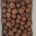 桂味荔枝干，核小肉厚，烘干，甘甜回味无穷