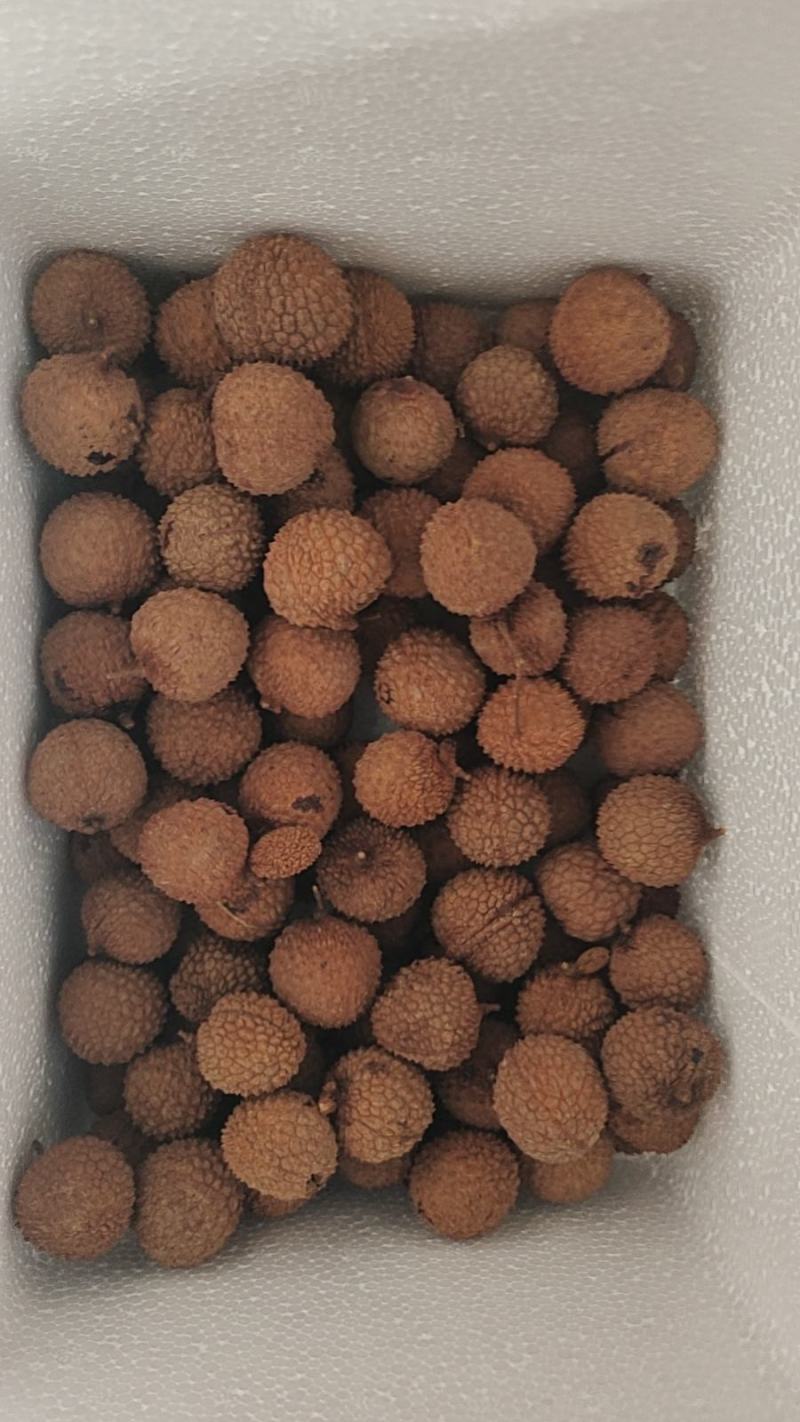 桂味荔枝干，核小肉厚，烘干，甘甜回味无穷