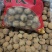 桂味荔枝干，核小肉厚，烘干，甘甜回味无穷
