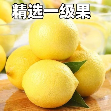 安岳黄柠檬