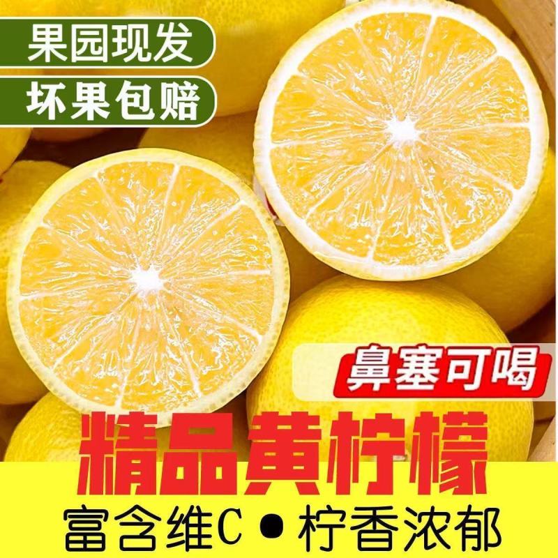 安岳黄柠檬