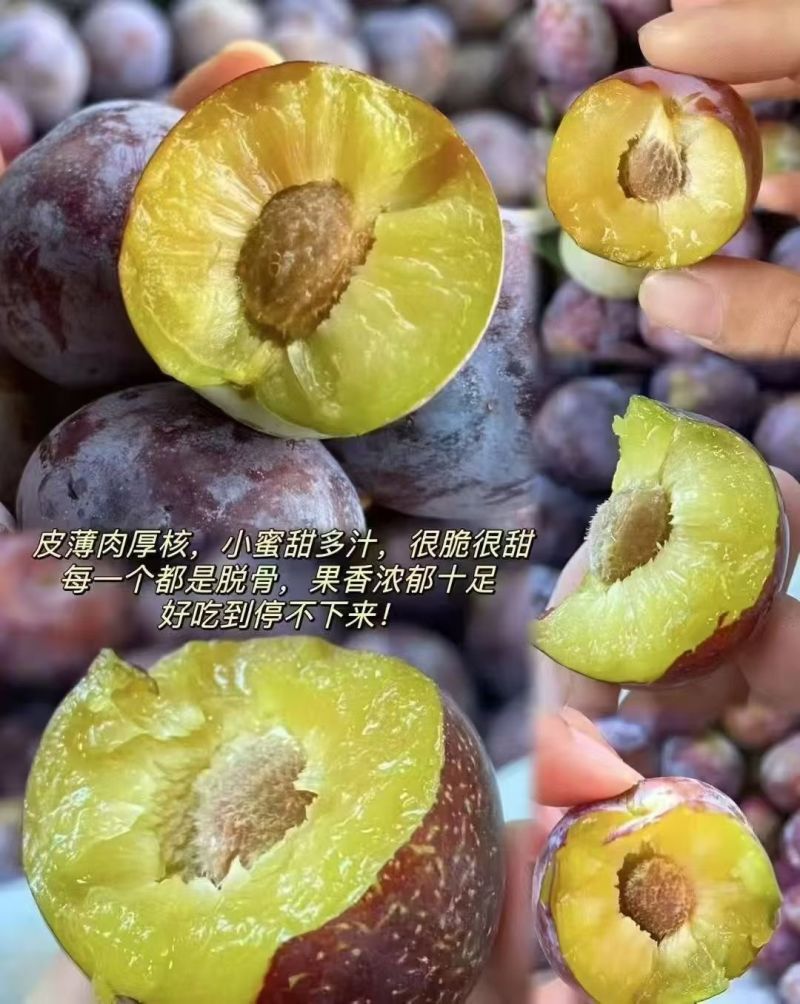 九寨沟高山脆红李
