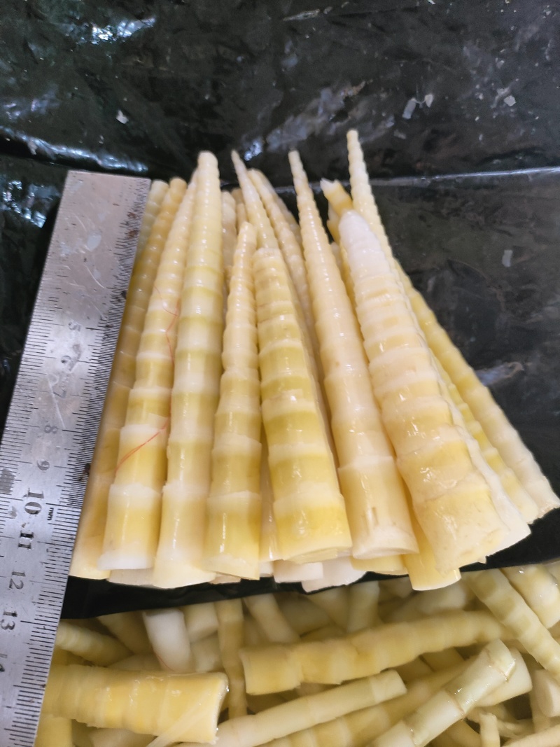 竹笋笋尖产地直发保质保量欢迎随时联系