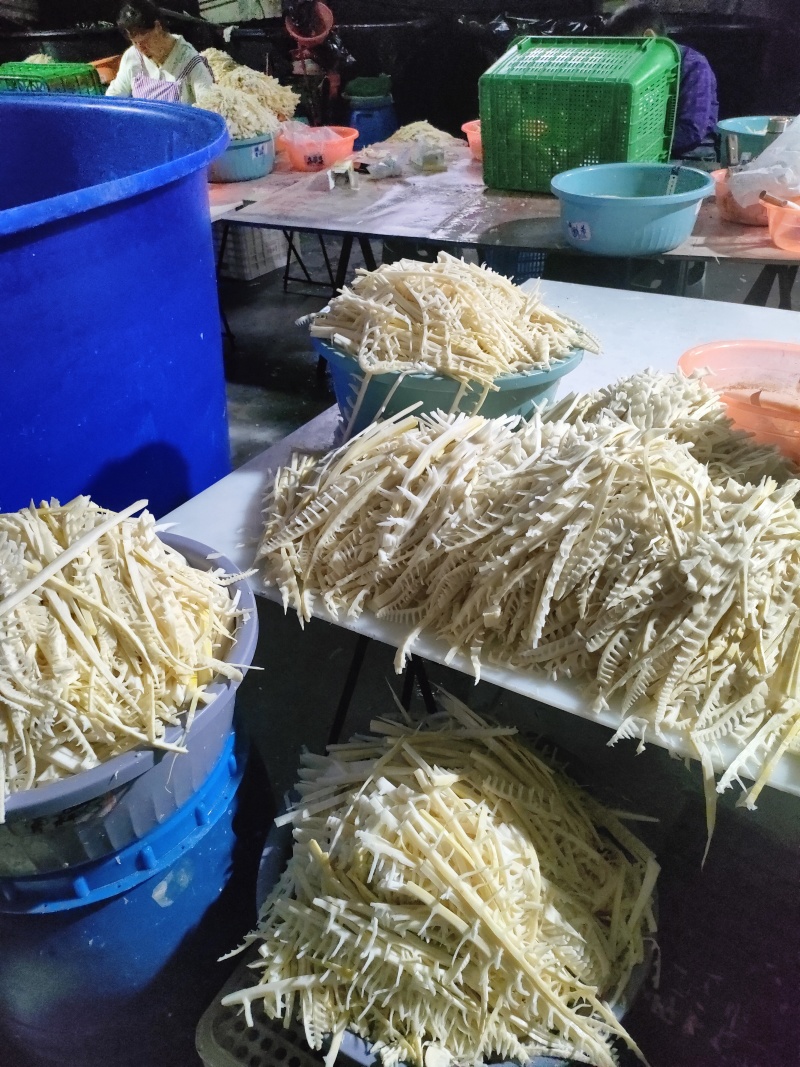兰竹笋丝鲜货产地直发一手货源量大价优欢迎随时联系