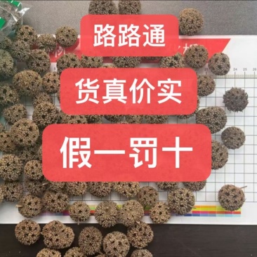 路路通药材批发新货路路通六路通通枫果正品保证假一赔十
