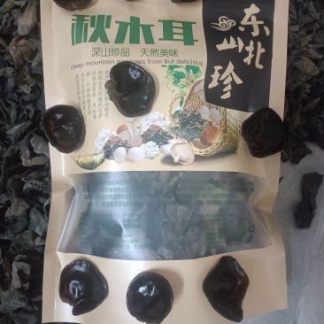 今年新秋耳肉厚无根小碗状大丰收，批发价格相当便宜