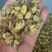 野生甘草进口甘草规格齐全可提取可打粉诚信经营产地直发